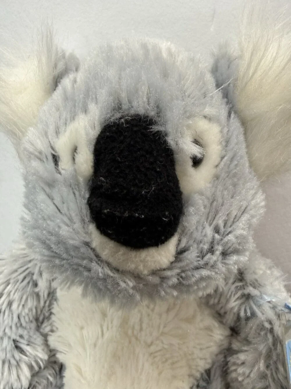 GANZ Webkinz 8